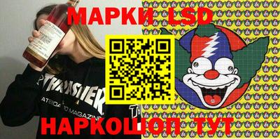 гидра Славгород