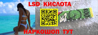 гидра Славгород