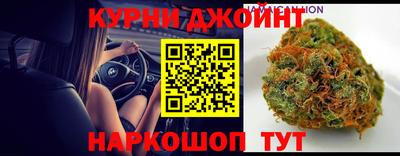 трава Сланцы