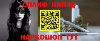 трава Сланцы
