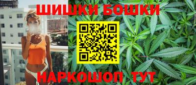 гидра Славгород