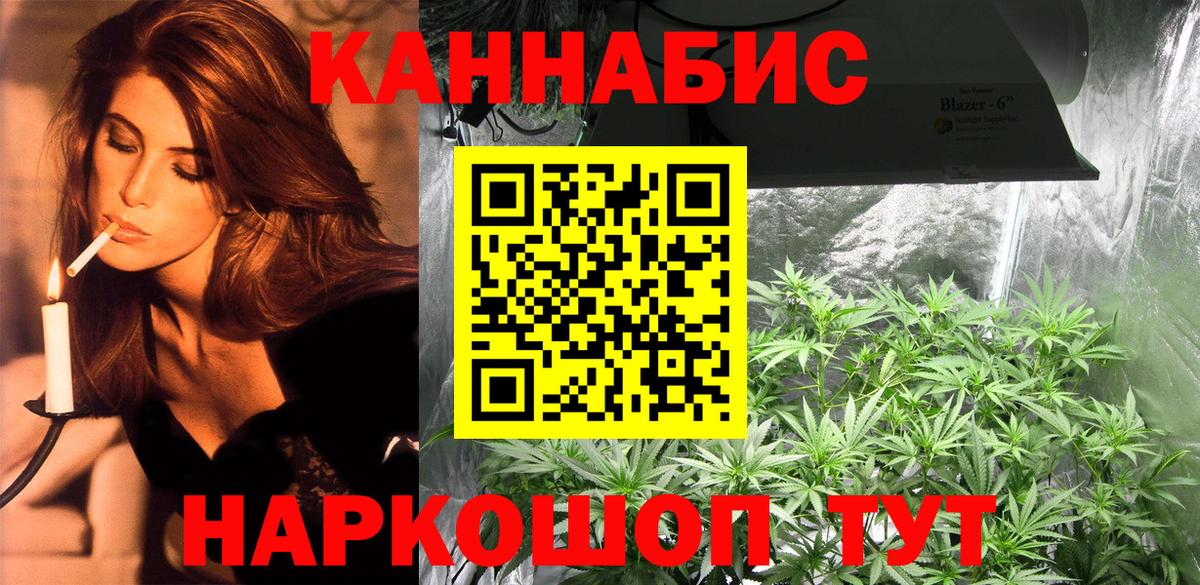Конопля планчик Ноябрьск