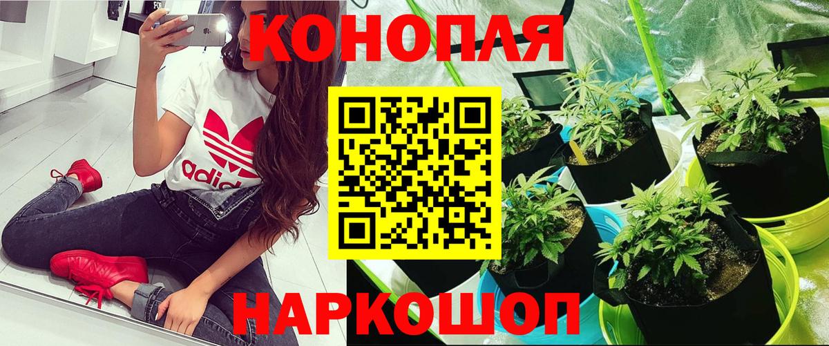 Галлюциногенные грибы Ноябрьск